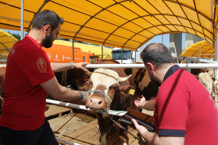 KURBAN_DENETIMLERI_3_125f82d650