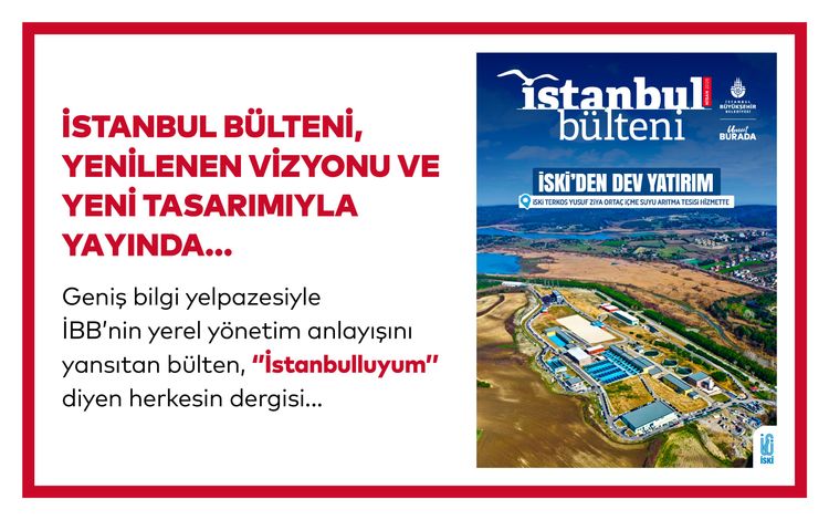 Web_Page_Thumbnail_472391cbe1