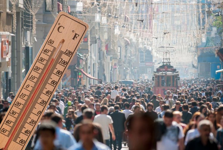 Whats_App_Image_2025_07_23_at_12_21_06_427874f6dc